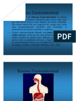 Sistema Gastrointestinal