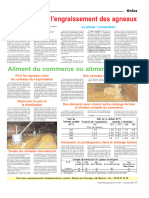 Démarrage de L Engraissement Des Agneaux VP 1159