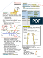 Anatomy-Ms Respi Neuro