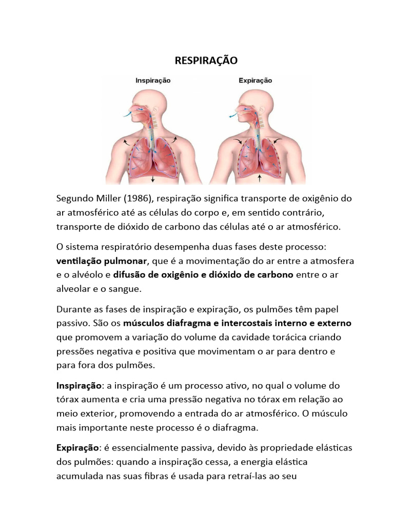 Fisiologia da Respiração e Tosse | PDF | Pulmão