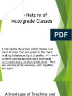 The Nature of Multigrade Classes