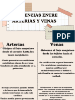 Diferencia Entre Arteria y Vena