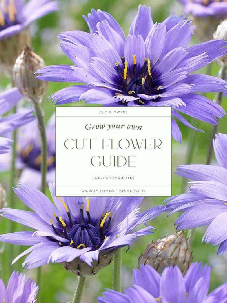 Pollyanna's Cut Flower Guide | PDF | Sowing | Seed