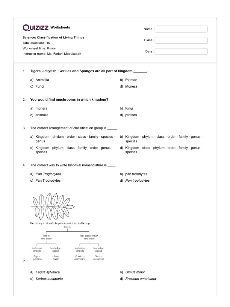 Living Things Classification Worksheet | PDF | Genus | Biological ...