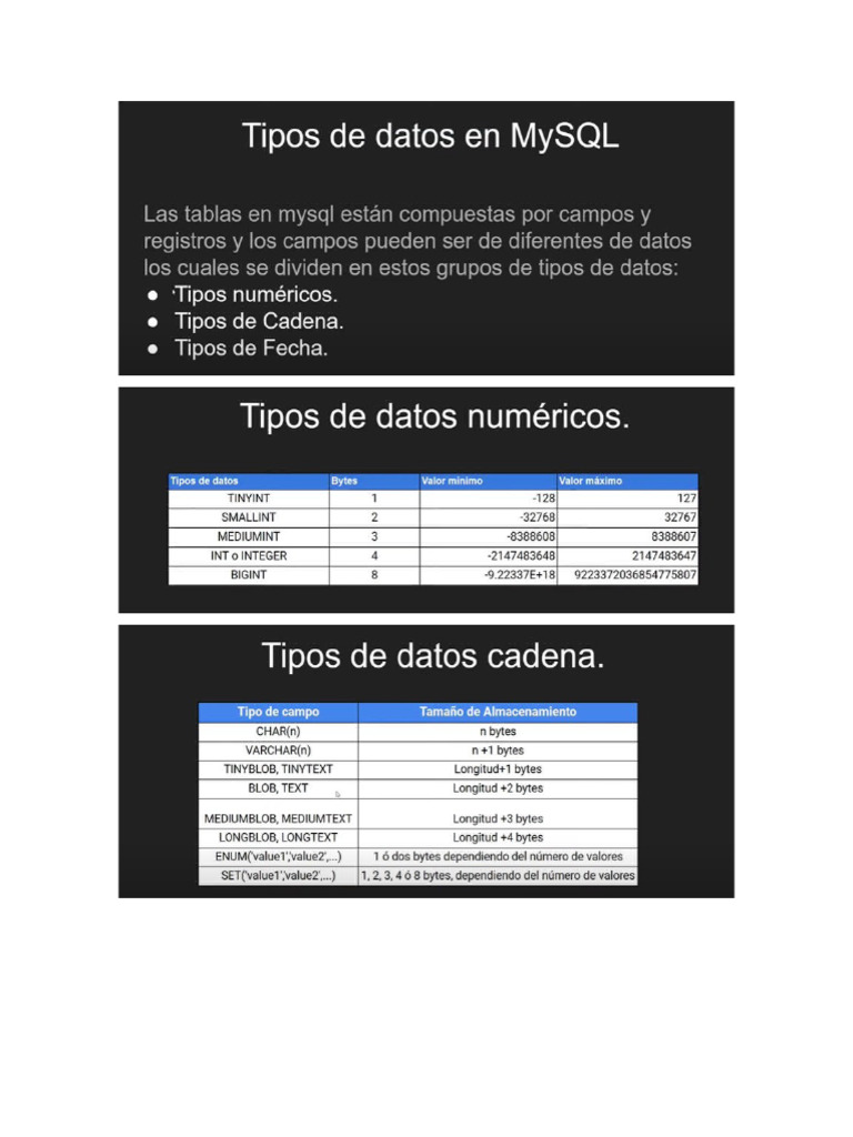 Tipos de Datos en Bases de Datos | PDF