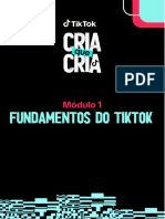 Fundamentos - Do - TikTok - CRIA - Que - CRIA