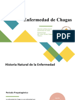 Enfermedad de Chagas