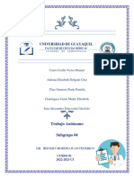 TIPOS DE FRACTURAS - SUBGRUPO 4 (1)