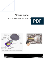 Prezentare Nervul-Optic 2