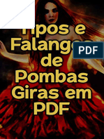 resumo-tipos-falanges-pombas-giras-pdf-ce93