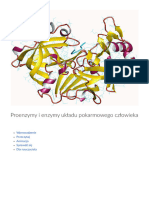 Proenzymy I Enzymy Ukladu Pokarm