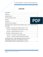 RAPPORT de Stage CNPS