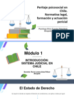 CA54 - PPT Peritaje Psicosocial