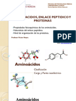 Aminoacidos, Enlace Peptidico y Proteinas.