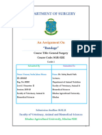 Department of Surgery: An Assignment On