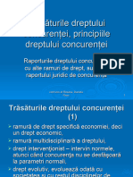 C_2_Trăsăturile dr_concurentei, principiile dr concurentei(1)