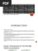 Network Virtual Ization