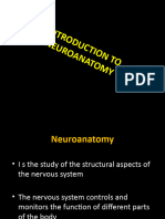 Introduction To CNS 1