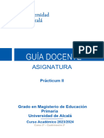 Guía Docente Practicum II