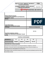 PG-15-PMX-PSS-04 Incidentes v04 - 2017 - Enero 2017