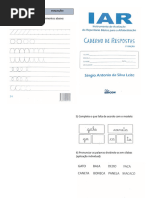 Manual de Aplicação do IAR para Alfabetização | PDF | Alfabetização ...