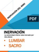 2022- TEORICO- INERVACION DEL MMI