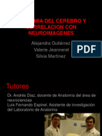 Neuro Imagenes