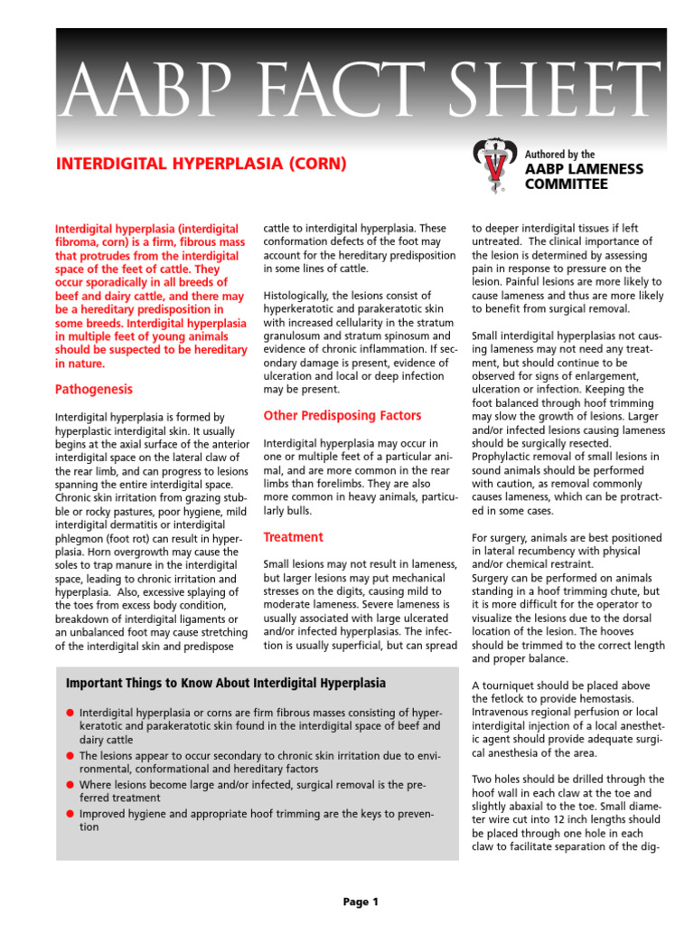 Interdigital Hyperplasia in Cattle | PDF | Surgery | Medical Specialties