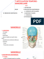 Mandibule-Atm Audio PDF 02