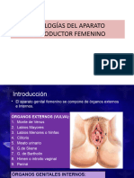 Patologías Del Aparato Reproductor Femenino
