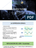 Expresión Génica: Asignatura: Biología Celular y Genética Docente: Victor M. Sossa Soruco