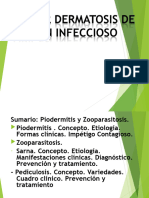 Conf 3,parasitosis, piodermit
