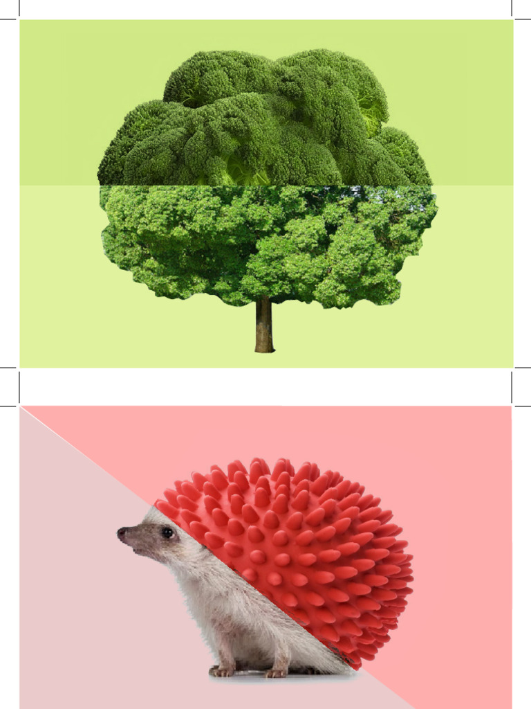 Combophotos | PDF