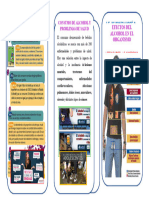 Triptico de Los Efectos Del Alcohol en El Organismo