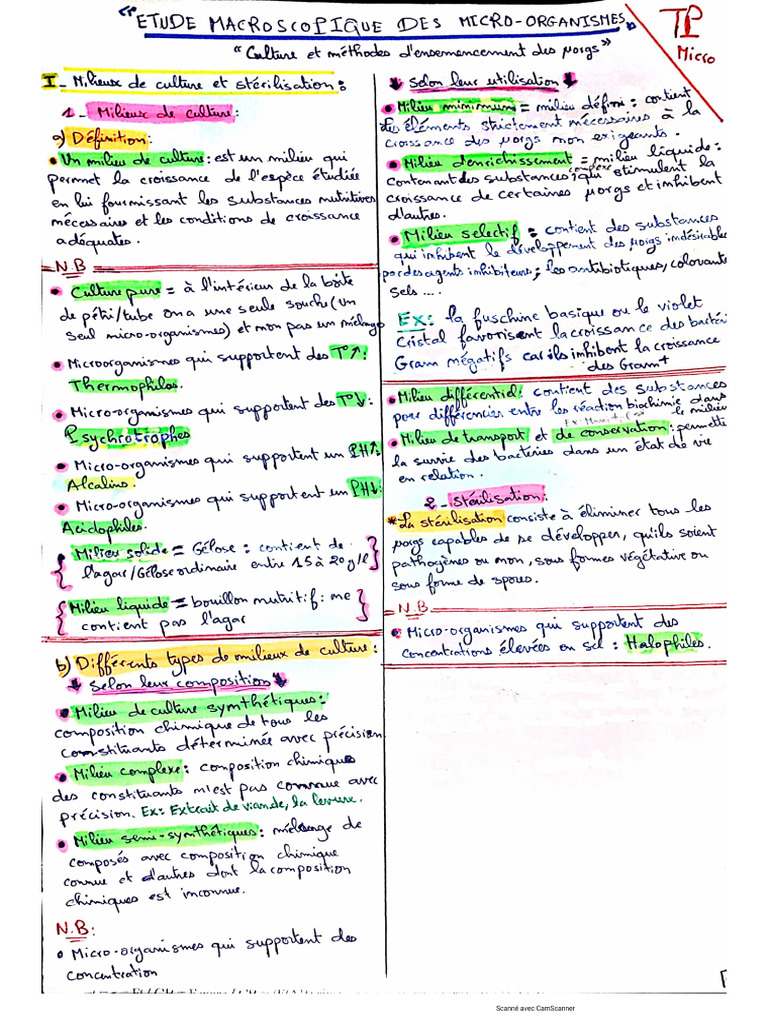 TP Microbiologie L'essentiel | PDF