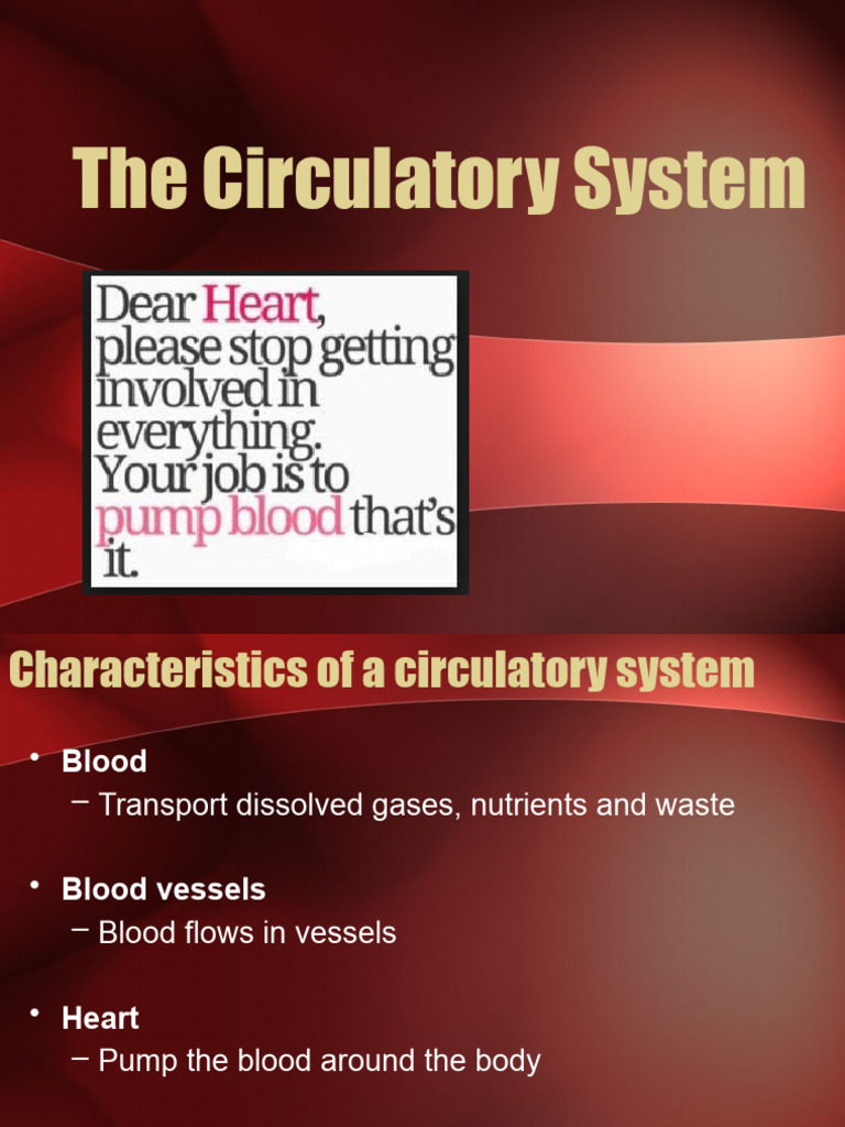 Circulatory System Overview | PDF | Heart Valve | Heart