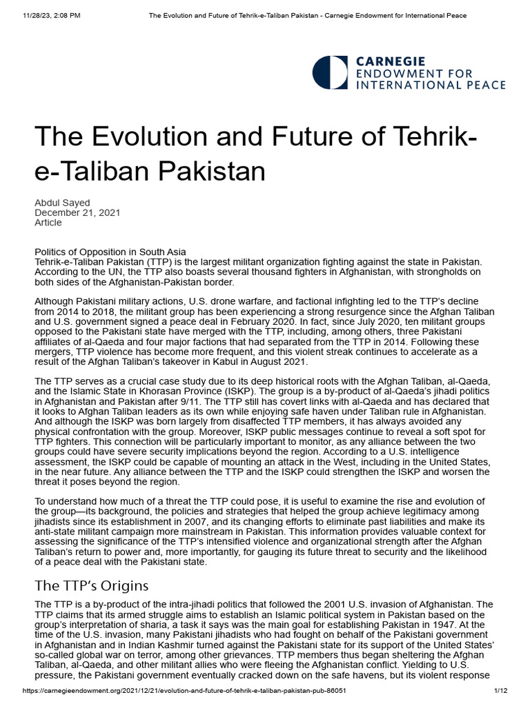 The Evolution and Future of Tehrik-e-Taliban Pakistan | PDF | Taliban ...