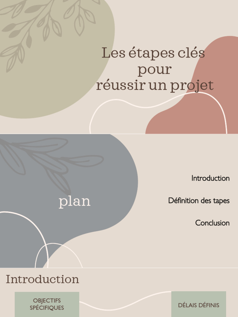 Étapes clés pour réussir un projet | PDF | Planification | Risque