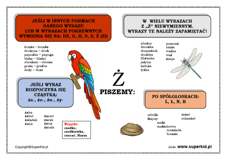 Zasady Pisowni ż Z Kropką