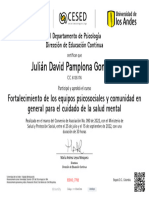 Fortalecimiento de Los Equipos Psicosociales y Comunidad en General para El Cuidado de La Salud Mental