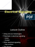 NS 1 Electrical Signaling