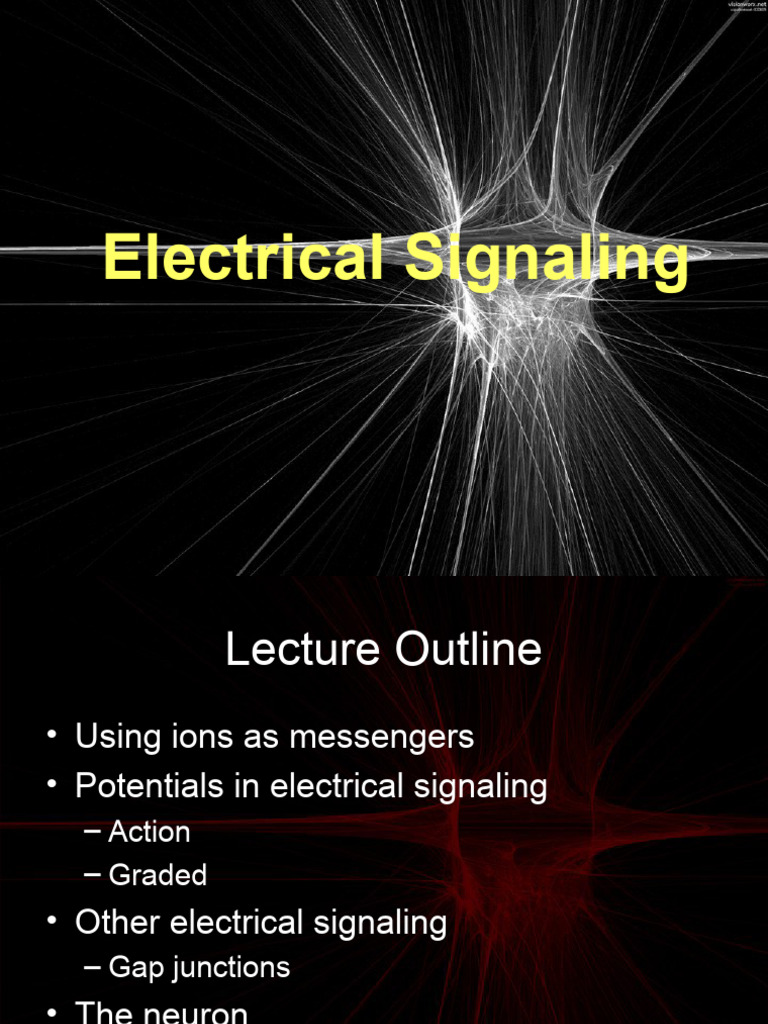 Action Potentials in Electrical Signaling | PDF | Action Potential ...
