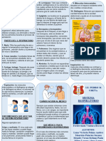 triptico sist. respiratorio