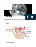 TUTORIA b46fb4966d844d4ab9615ad295432e91