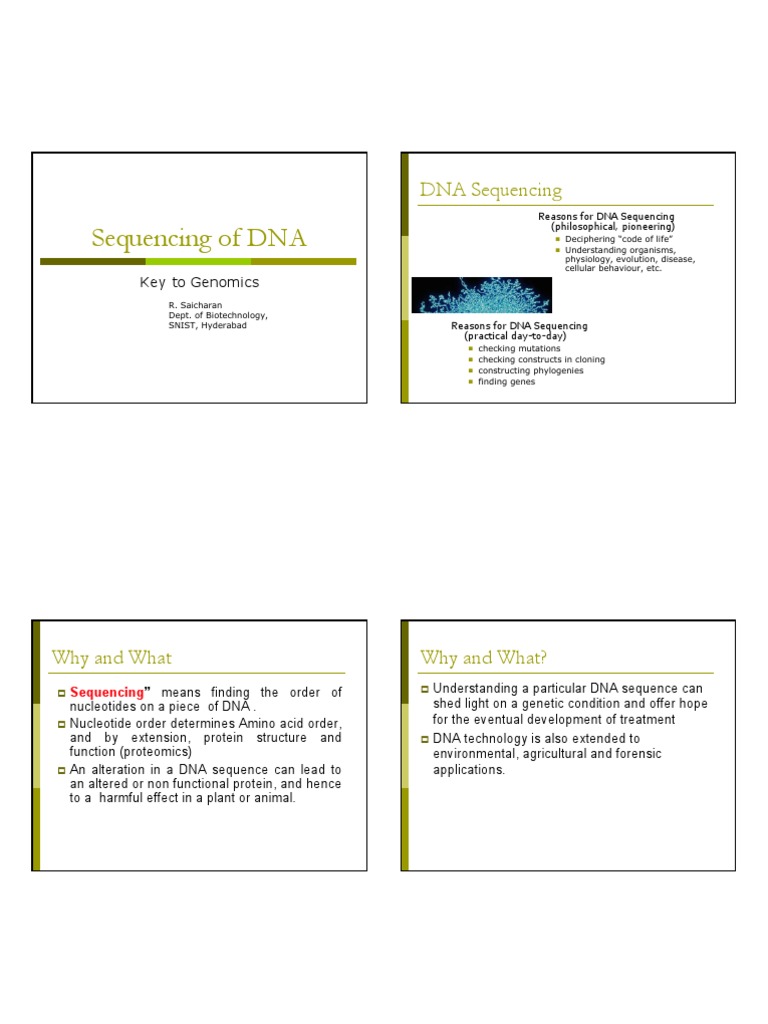 Sequencing of DNA | PDF | Dna Sequencing | Dna Replication