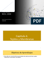 Biología Humana BIOL 2300: Profa. Quinones Feliciano Temp BPH