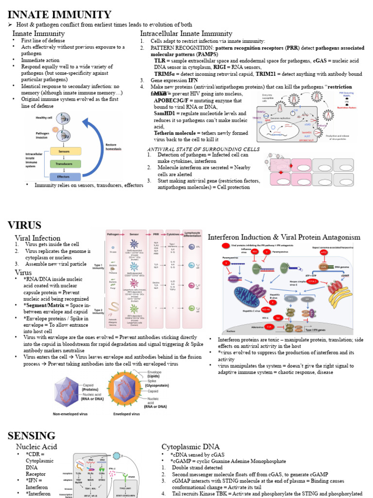 Innate Immunity | PDF | Interferon | Virus