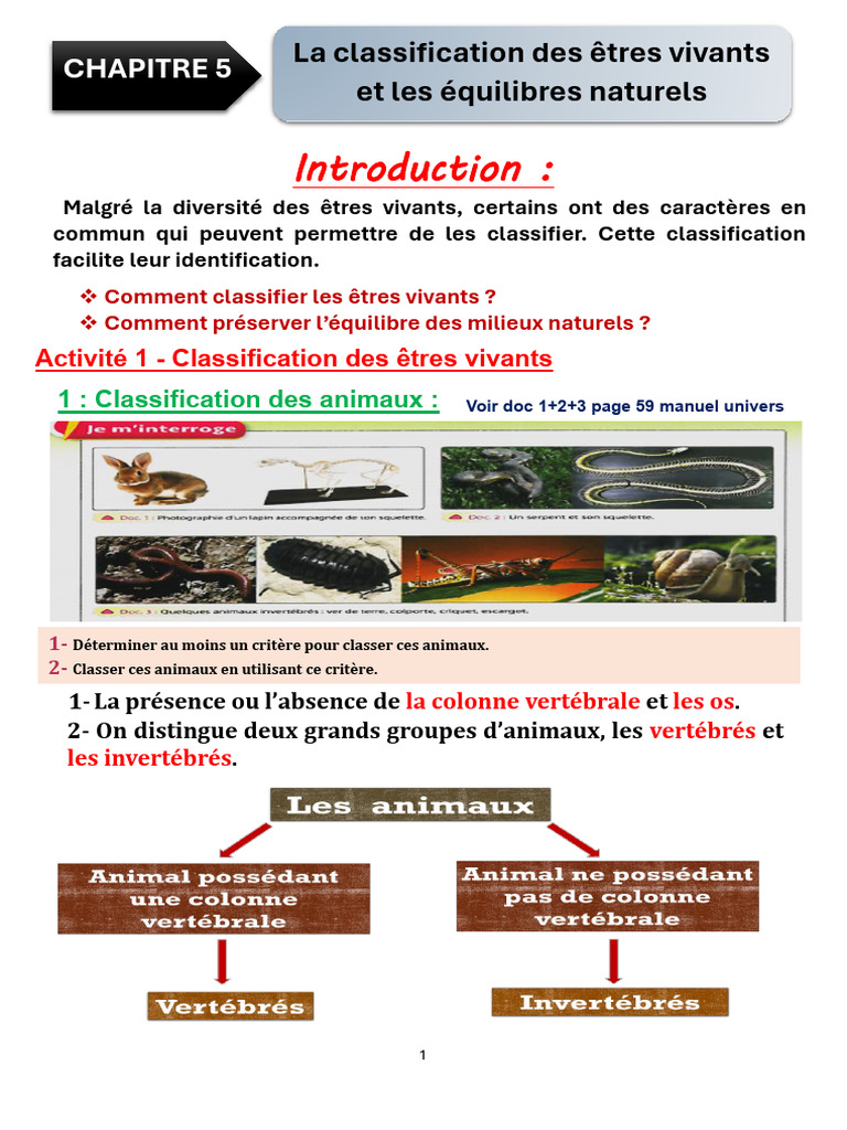 Classification des êtres vivants et équilibres | PDF | Plantes ...