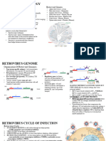 Retrovirus-Host Interaction