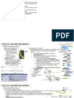 Transcriptional & Chromatin Regulation